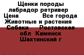 Щенки породы лабрадор ретривер › Цена ­ 8 000 - Все города Животные и растения » Собаки   . Ростовская обл.,Каменск-Шахтинский г.